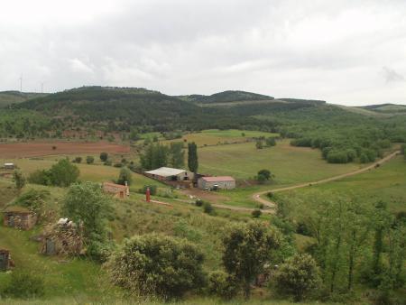 Aldeanueva Bodegas 1