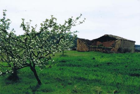 Vista del Pueblo 1998 1