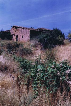 Vistas del Pueblo 1993 4