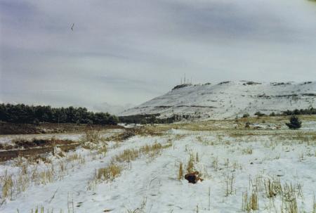 Vistas del Pueblo 1997 4