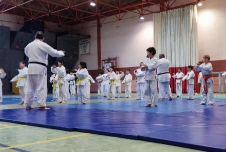 Imagen El Judo y el Deporte Divertido congregan a seiscientos escolares, a lo largo del fin de semana, en el Real Sitio de San Ildefonso y Palazuelos de Eresma
